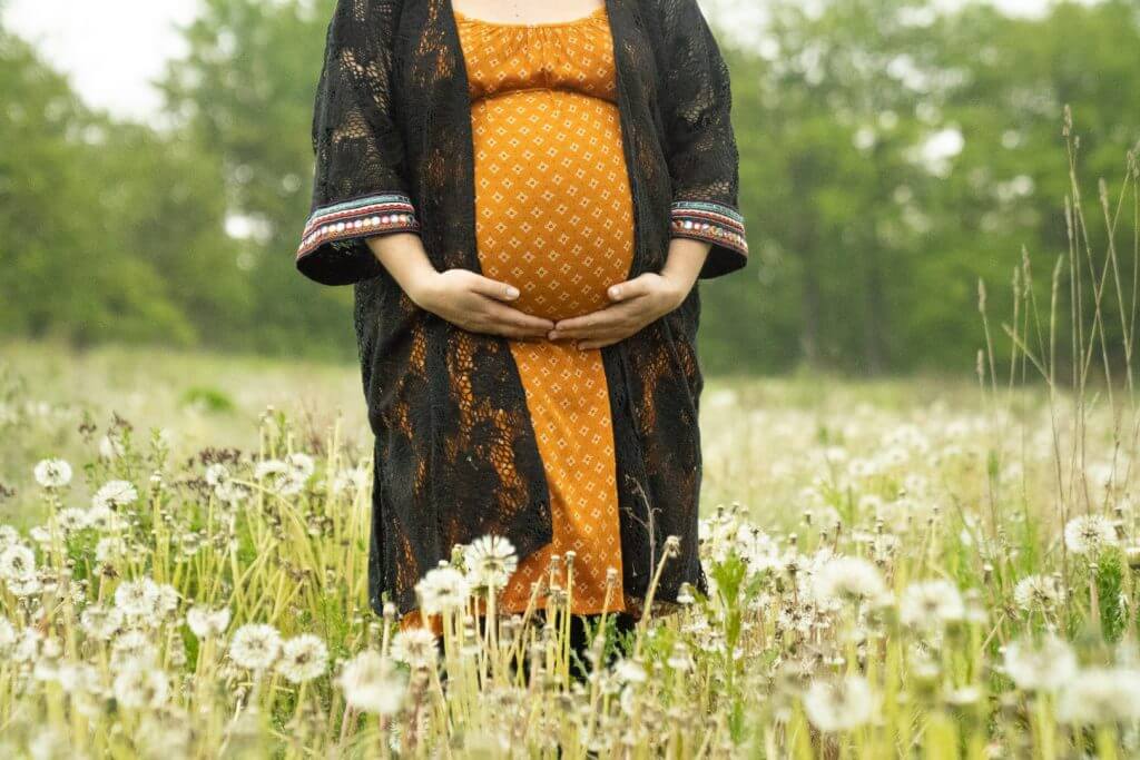 Schwangere hält Bauch in Pusteblumenfeld